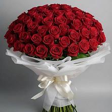 Букет 101 Красная роза Блэк Мэджик в Зубовой Поляне