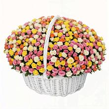 Премиум букет из: Розы в Зубовой Поляне