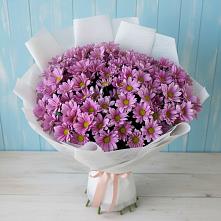 Букет цветов из:  Хризантемы в Зубовой Поляне