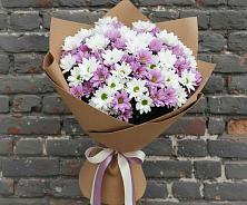 Букет цветов из:  Хризантемы в Зубовой Поляне