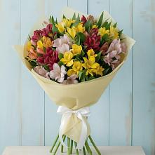 Букет цветов из:  Альстромерии в Зубовой Поляне